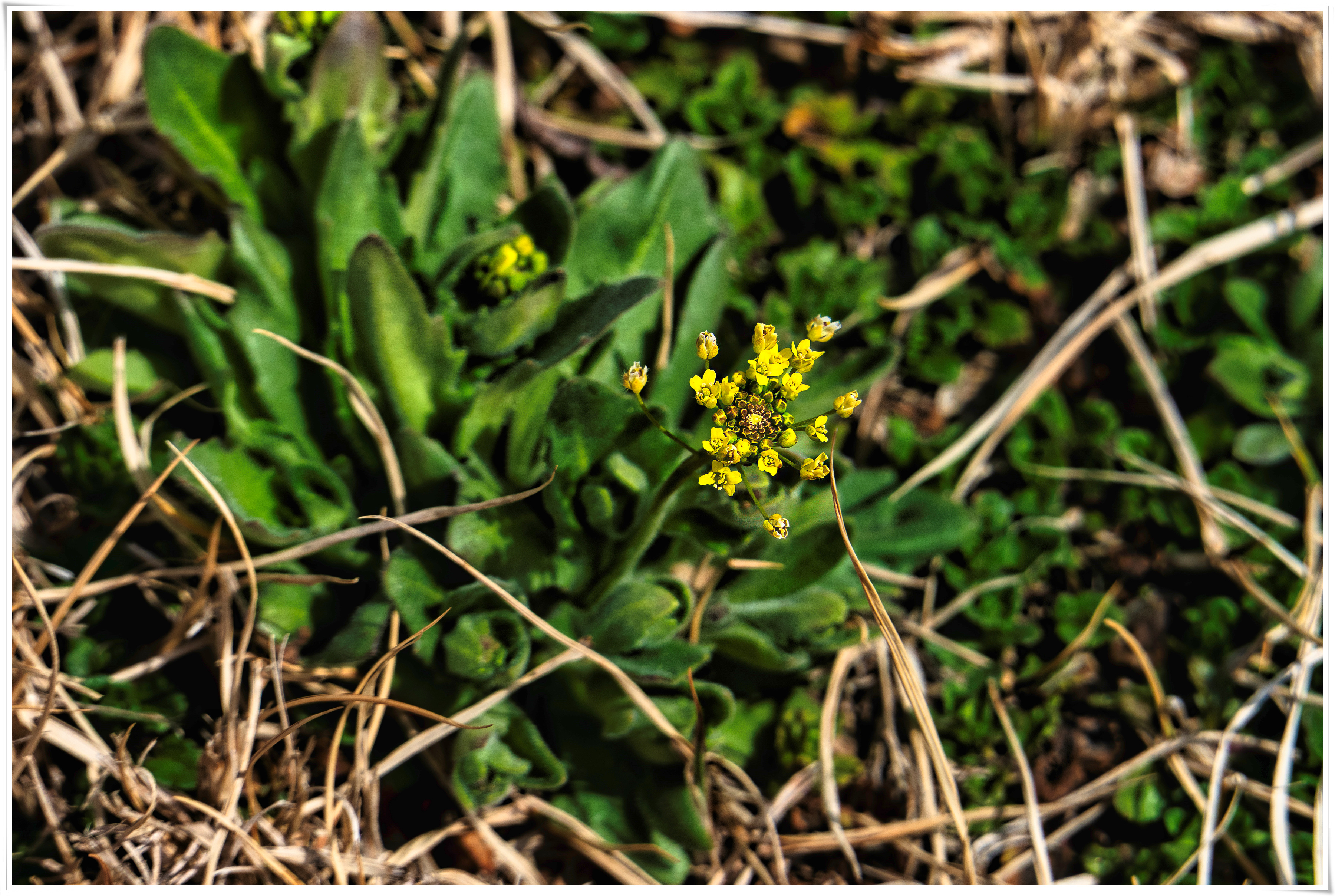 2026-03-22 15-15.jpg