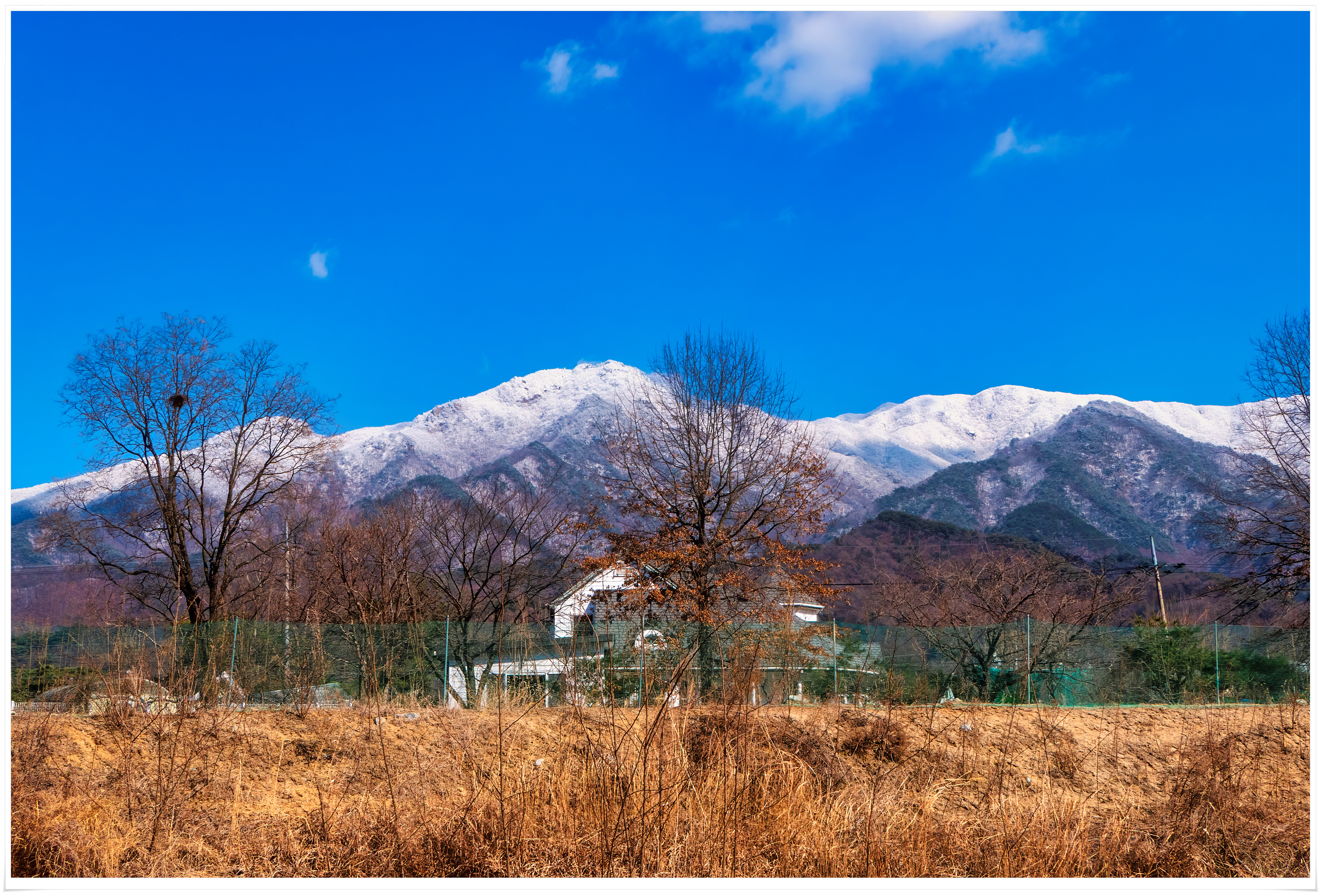 2026-03-07 15-54-22 - P1790795 복사.jpg