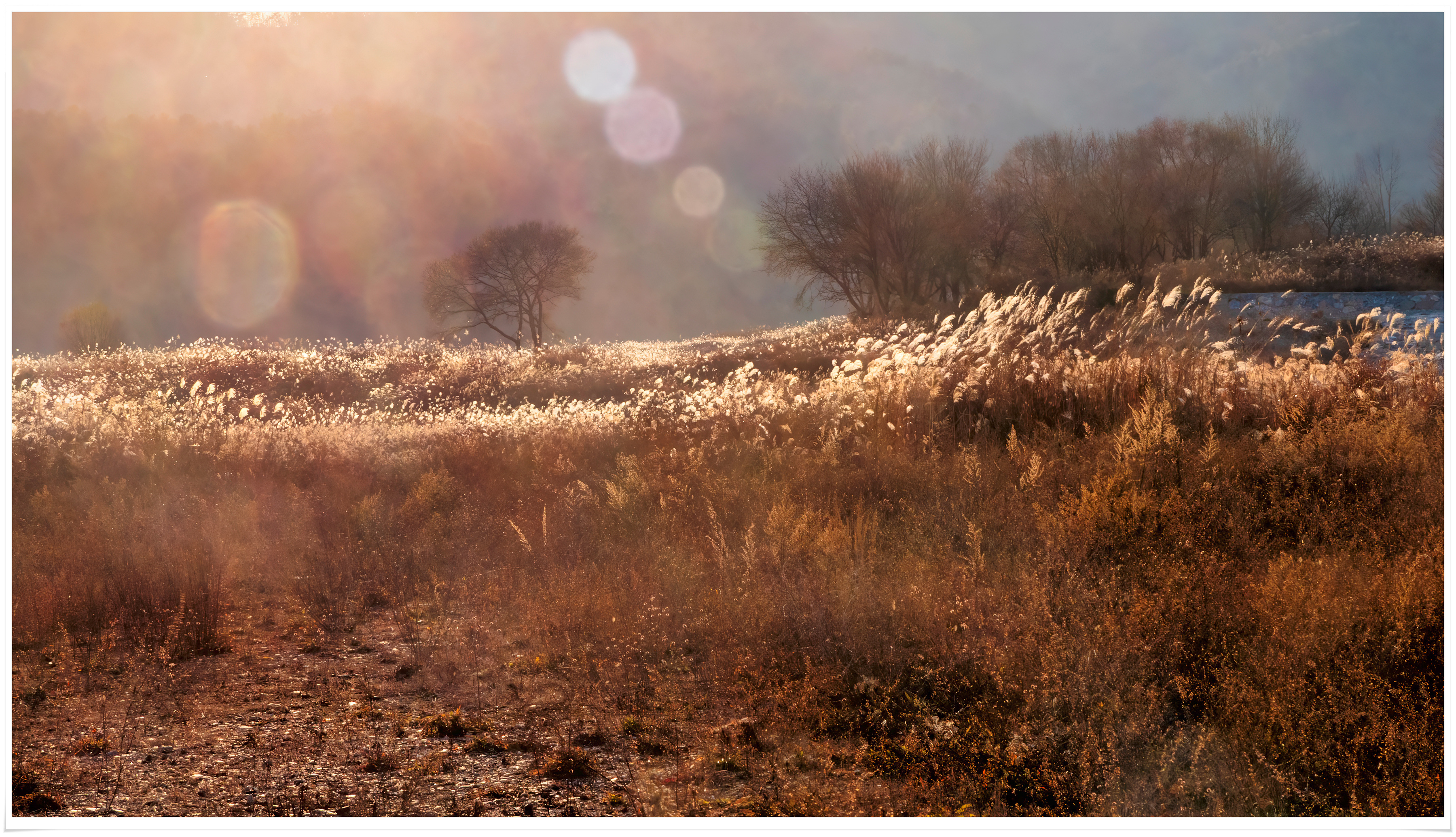 2025-11-29 17-35-20 - P1790466-2.jpg