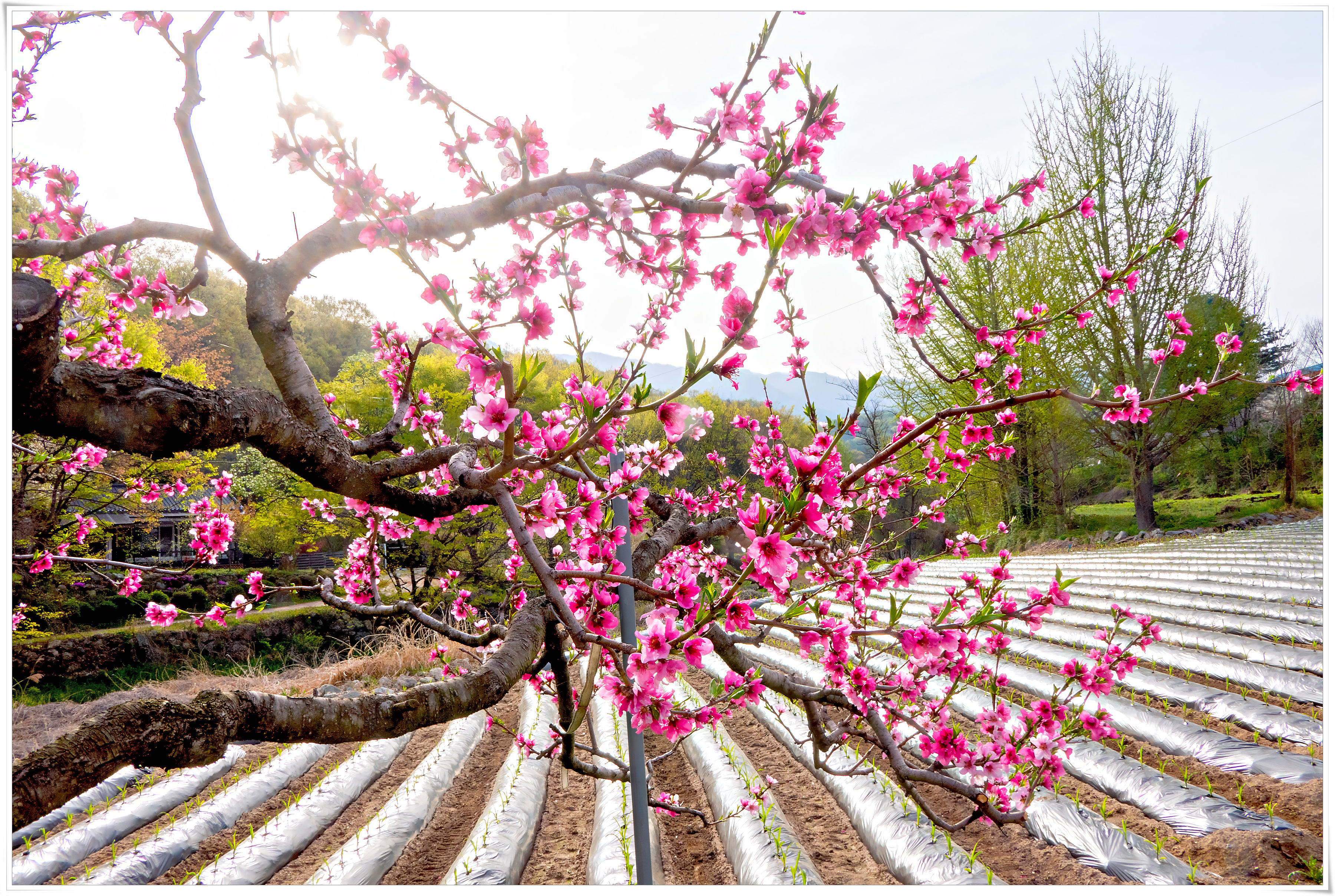 2026-04-19 09-32-34 - P1800392.jpg