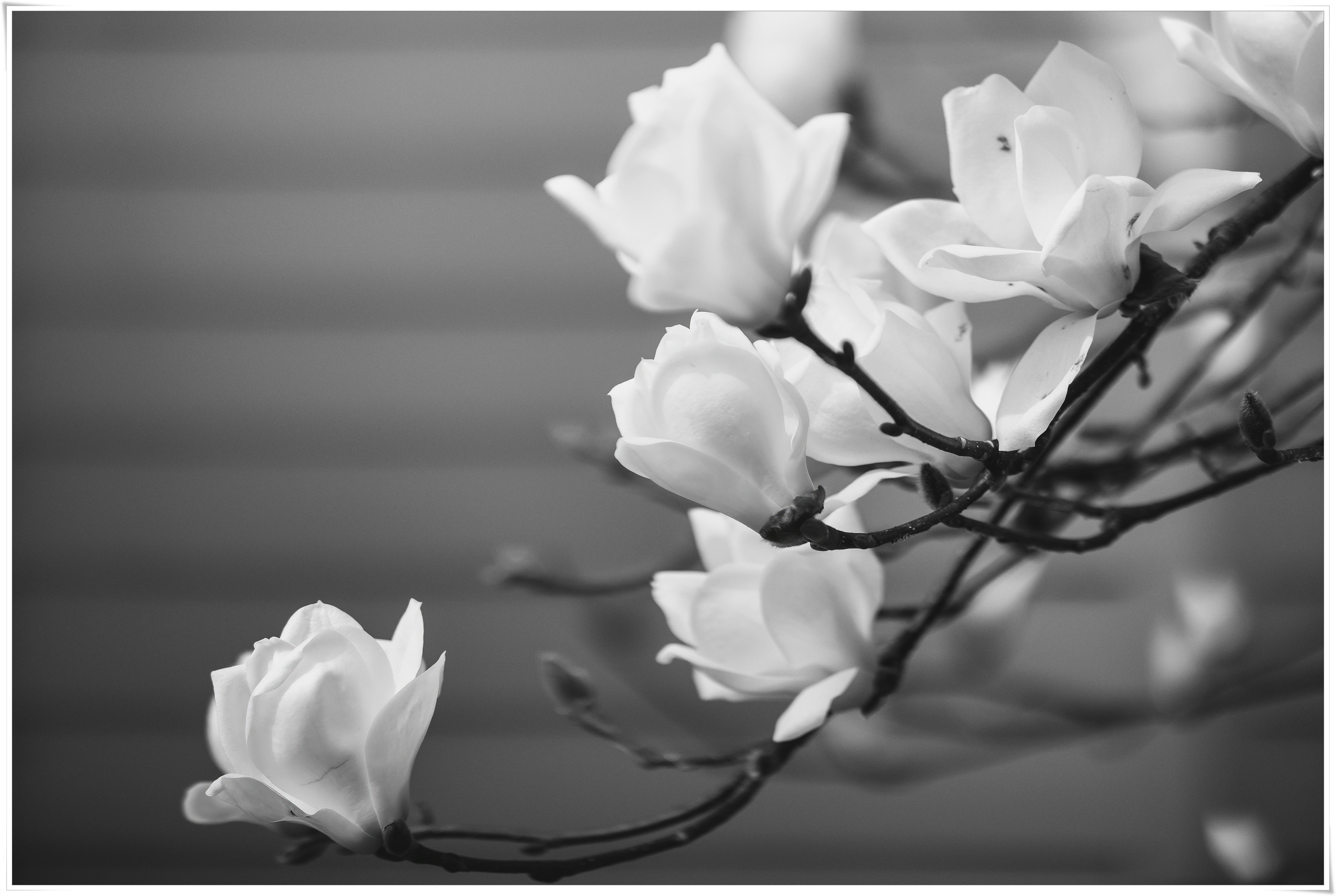 2026-04-05 09-50-32 - DSCF6022 복사.jpg