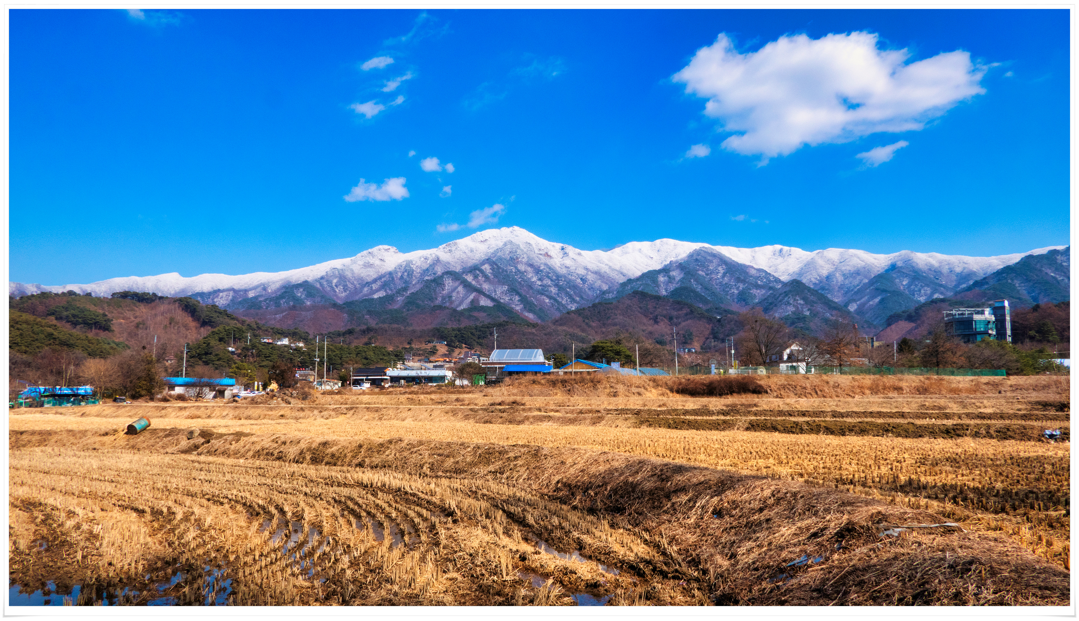 2026-03-07 15-44-04 - P1790770 복사.jpg