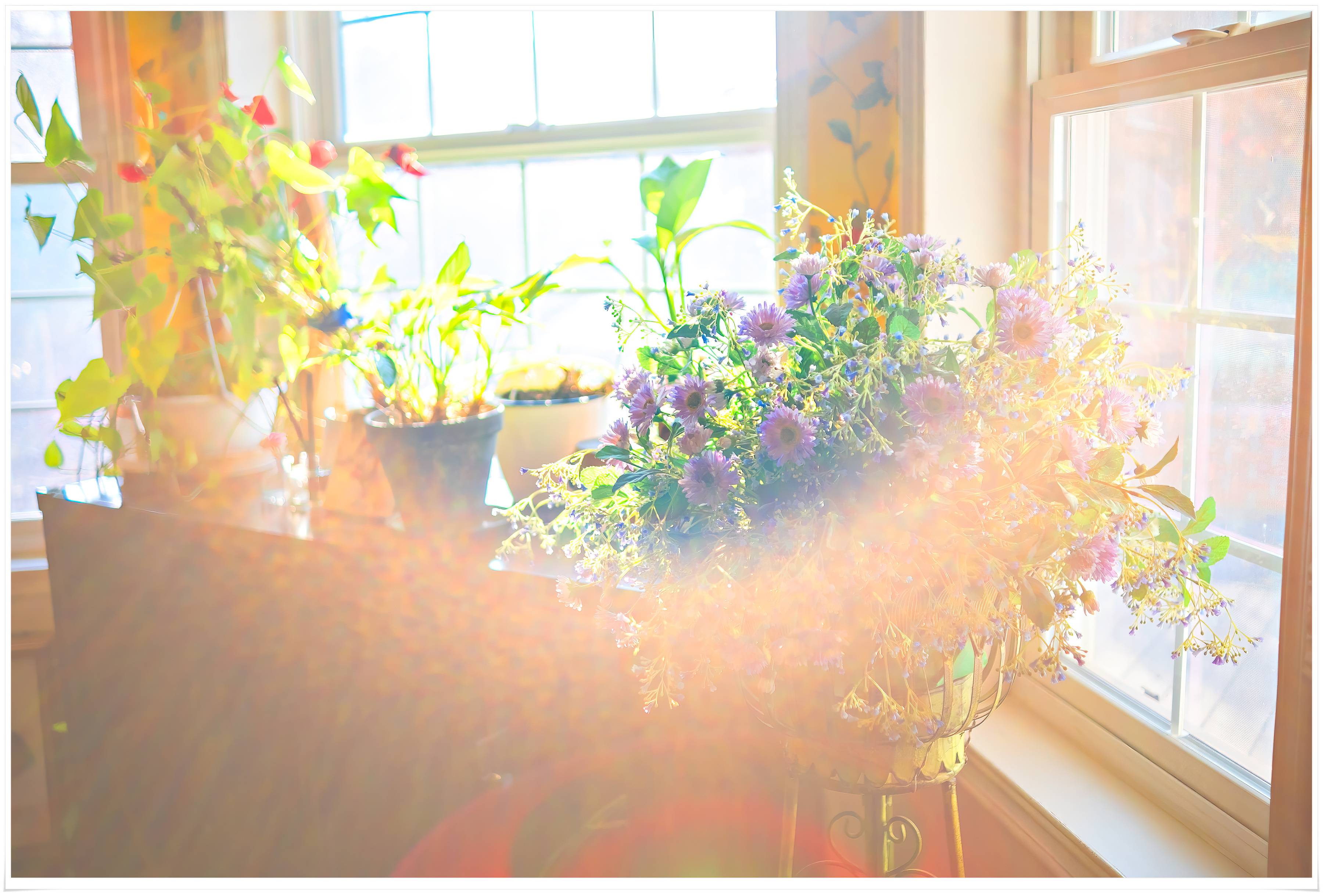 2026-01-04 15-48-43 - DSCF5925.jpg