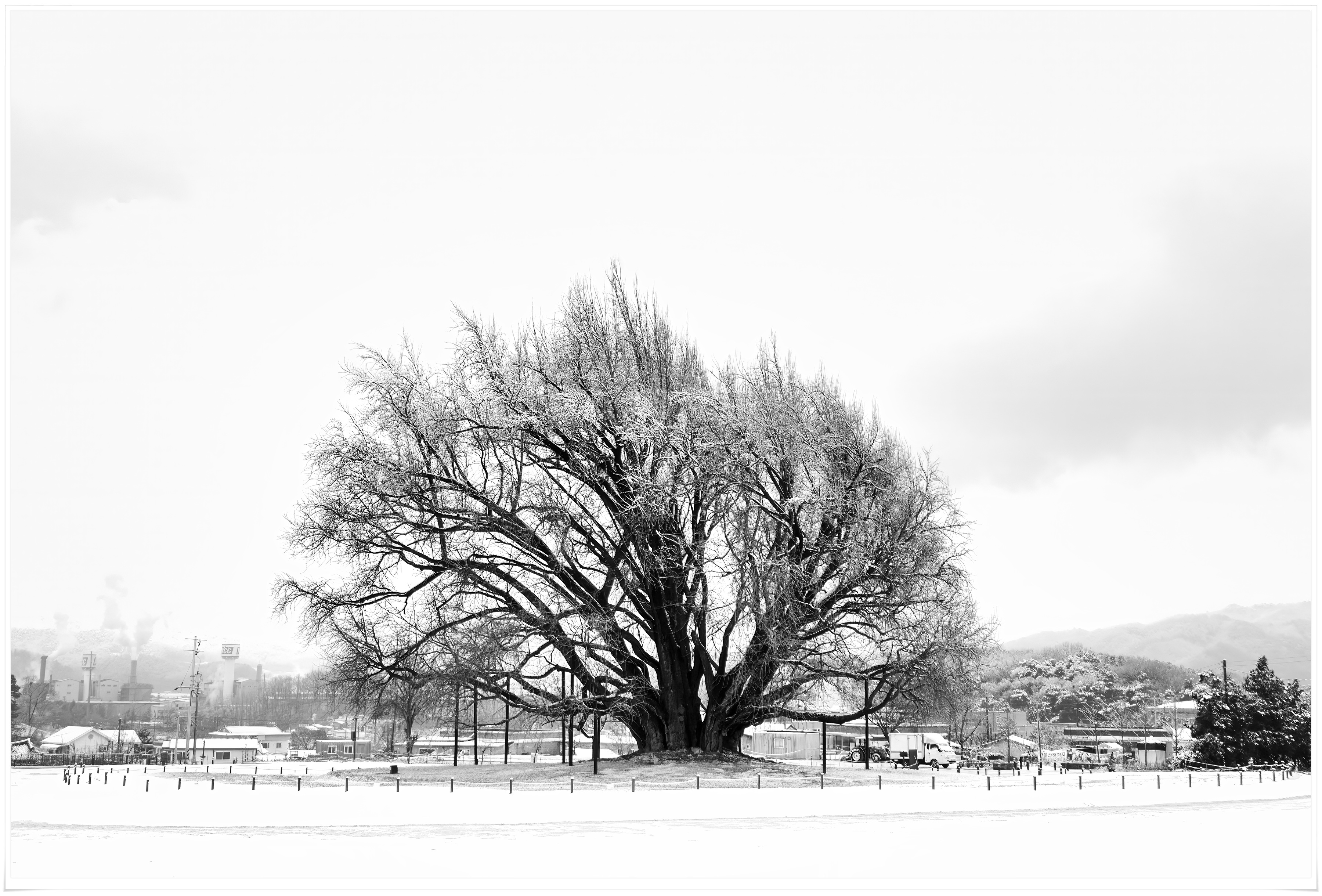 2025-12-14 08-22-58 - DSCF5887 복사.jpg