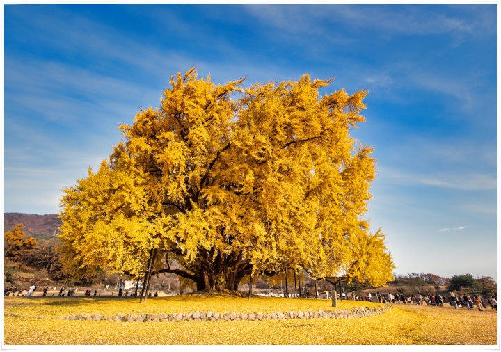 2025-11-16 반계리 1